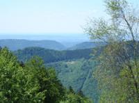 The Saint-Antoine Forest and its waterfalls